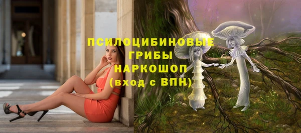 тгк Надым