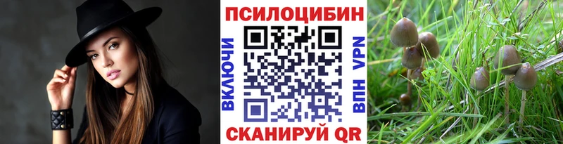 Галлюциногенные грибы GOLDEN TEACHER  Купить закладки  Талдом 